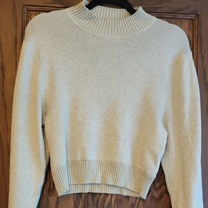 Free People Shimmering Cream Turtleneck Sweater